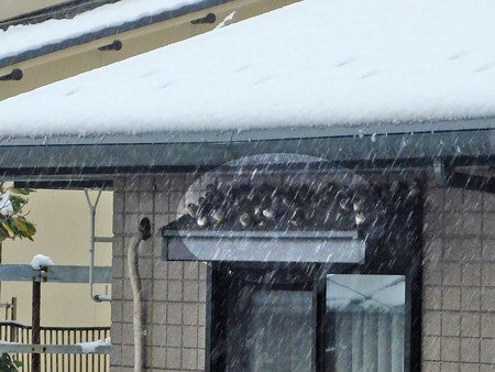 DSCF8796