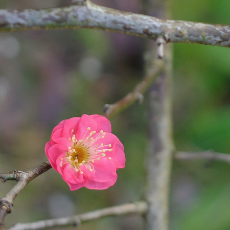 DSCF9034