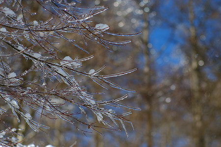 DSCF8070