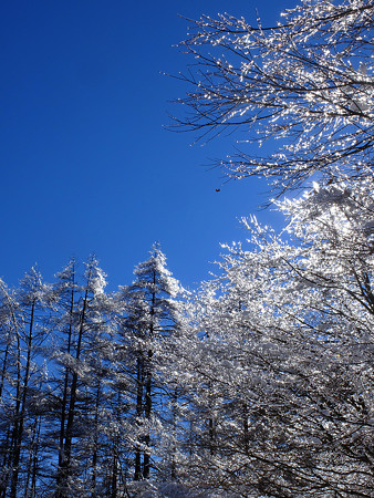 DSCF9914