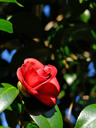 DSCF0659