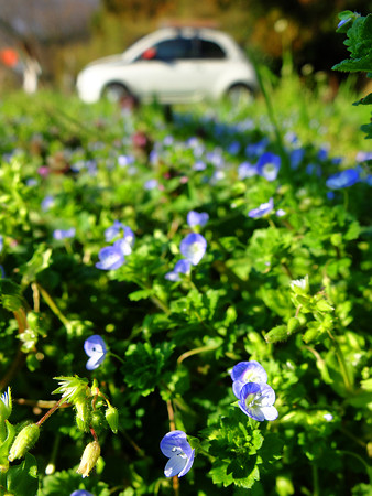 DSCF1353