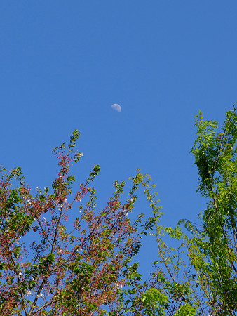 DSCF4009