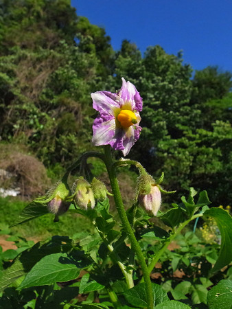 R0018630