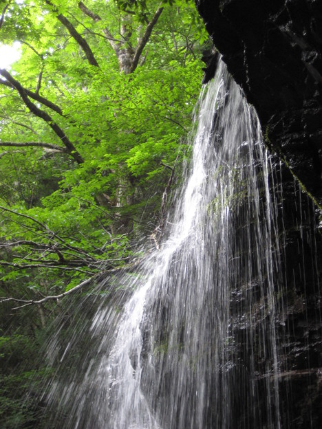 Photos: 岩井の滝