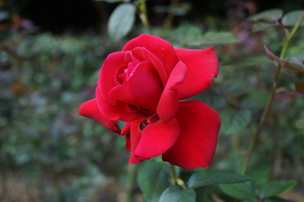 DSC02040