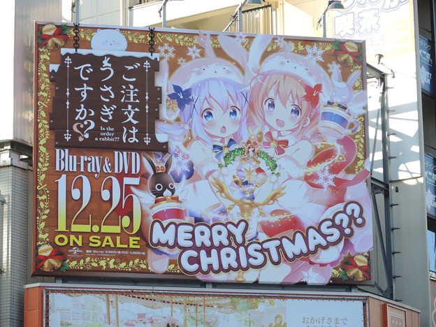 DSCN0094