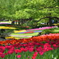 昭和記念公園