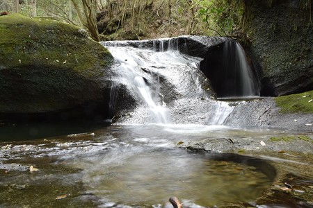 DSC_7425-1