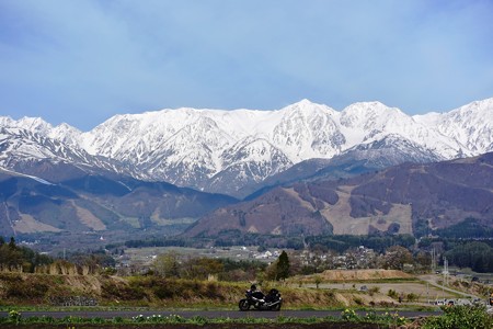 DSC_8423-1