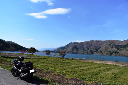 DSC_8443-1