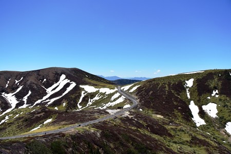 DSC_8804-1
