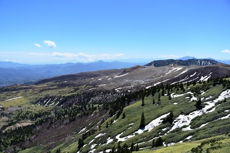 DSC_8818-1