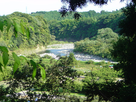 DSC00324