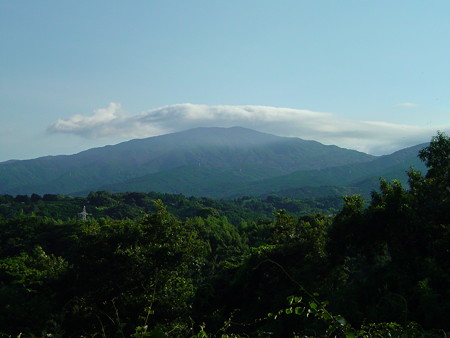 DSC00319