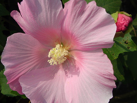 DSC00146