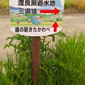 Photos: 渡良瀬遊水地、三県境→、道の駅きたかわべ↑