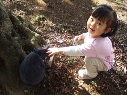 コピー ～ DSCF0844