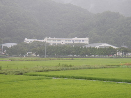 [世界の中心で愛を叫ぶ (ロケ地)] 松崎町内８