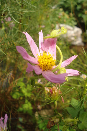 DSC08307