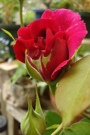 DSC05406