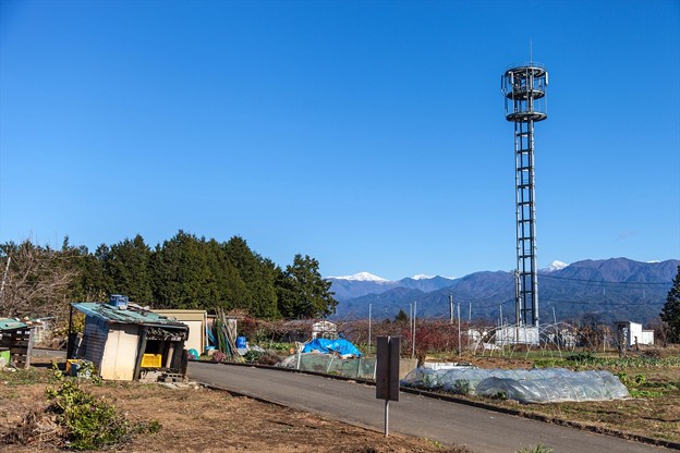 _MG_8175_R
