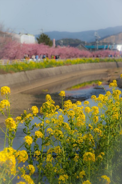 _MG_0577_R