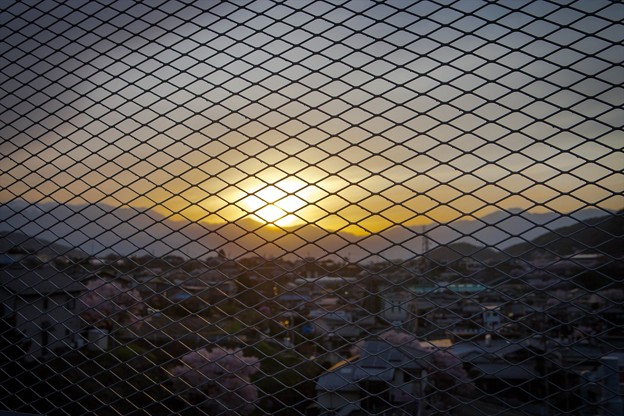 _MG_2542_R