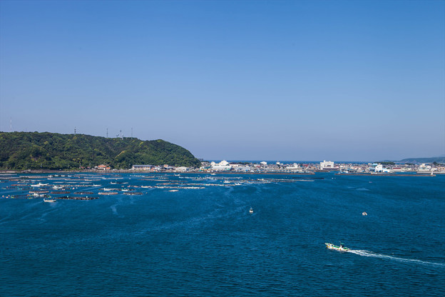 _MG_3493_R