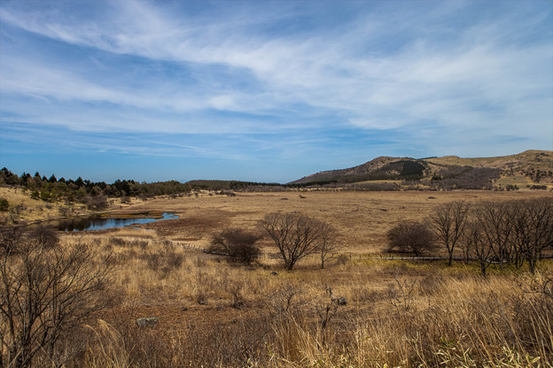 _MG_4182_R