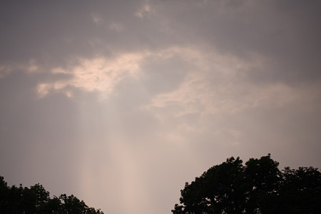 でも雨