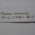 Photos: Diamine Salamander handwriting 1