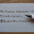 Photos: Diamine Salamander handwriting by Safari (B)