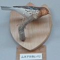 バードカービング　　「ムネアカタヒバリ」