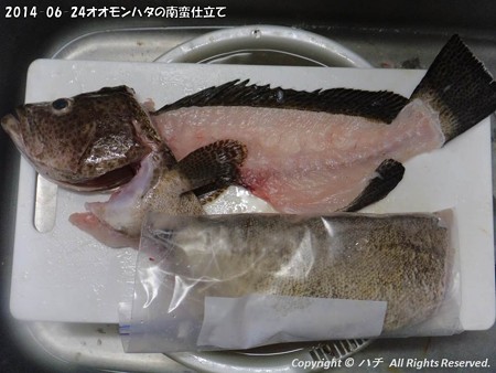 2014-06-24オオモンハタの南蛮仕立て (2)