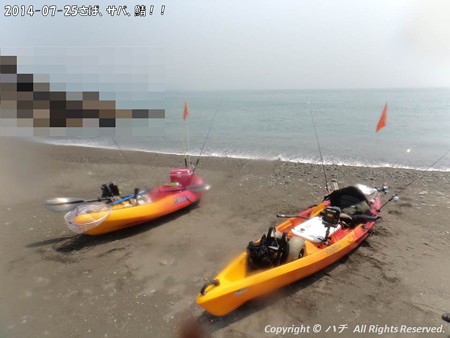 2014-07-25さば、サバ、鯖!! (5)