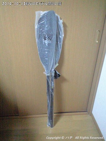 2014-10-13暇なのでパドル開封の儀 (3)