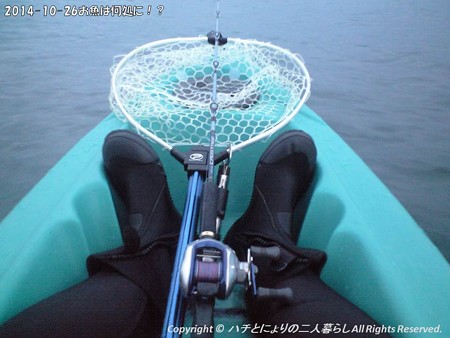 2014-10-26お魚は何処に!? (1)