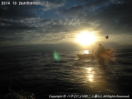 2014-10-26お魚は何処に!? (3)