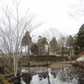 Photos: 早水神社の池