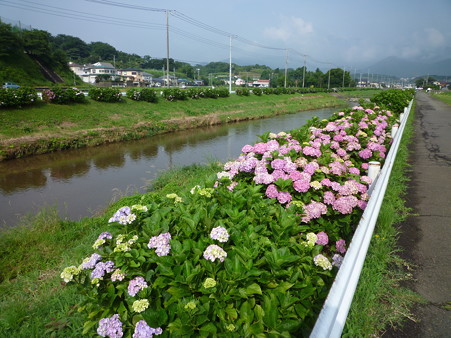 P1000992