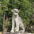 一之宮貫前神社（富岡市）狛犬