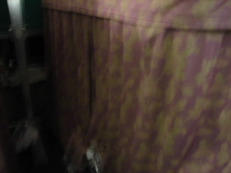 DSC07421