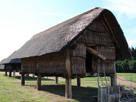 DSC05174