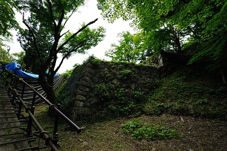 1106231202_DSC_2224