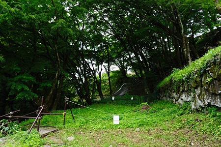 1106231224_DSC_2282