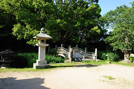 1106231656_DSC_2548