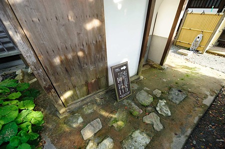 1106231749_DSC_2660
