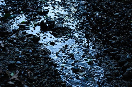 1107120625_DSC_5213