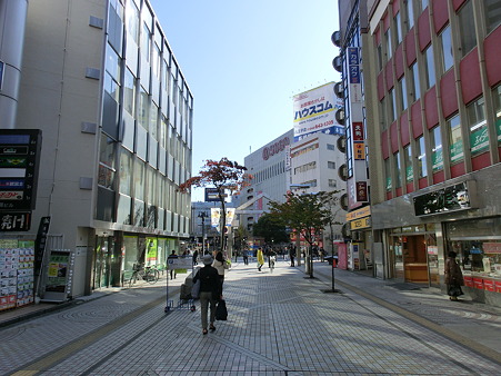 CIMG1007